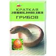 russische bücher: Суворова Т. - Краткая энциклопедия грибов