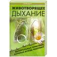 russische bücher: Медведев Б.А. - Животворящее дыхание:дыхательные практики