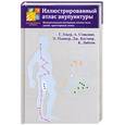 russische bücher: Гекер, Стилвинг - Иллюстрированный атлас акупунктуры. Биологически активные точки тела, шей, триггерные зоны