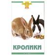 russische bücher: О'Нил А. - Кролики