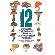 russische bücher: Вишневский М. - 12 лучших съедобных грибов Центральной России, которые должен знать каждый грибник