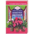 russische bücher: Дэльфа П.,Гордиенко Е. - 100 самых популярных комнатных растений