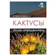 russische bücher: Гапон В. - Кактусы. Атлас - определитель