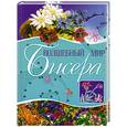 russische bücher: соавт.Белякова О.,Найденова А.,Салькова Е. - Волшебный мир бисера