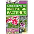 Самые популярные комнатные растения
