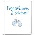 russische bücher: пер.Нетесовой Е. - Поздравляем с сыном!