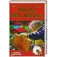russische bücher: Бондарев С. Ромашкин П. - Пчелы, мед, пасека.Современное руководство пчеловода.