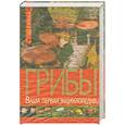 russische bücher: С.Шанина - Грибы. Ваша первая энциклопедия