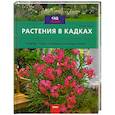 russische bücher: Ланге П. - Растения в кадках