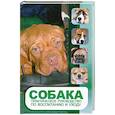 russische bücher: Д. Браннер - Собака. Практическое руководство по воспитанию и уходу