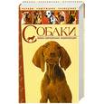 russische bücher:  - Собаки. Новая современная энциклопедия.