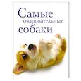 russische bücher: Янцева Ю. - Самые очаровательные собаки