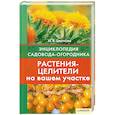 russische bücher: Цветкова М. - Растения-целители на вашем участке.