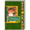 russische bücher:  - Грибы