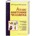 russische bücher: Липченко В. - Атлас анатомии человека