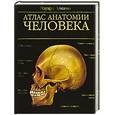 russische bücher: Эдуард Алкамо - Атлас анатомии человека