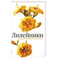 russische bücher: Русинова Т. - Лилейники