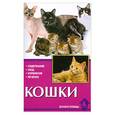 russische bücher: Голлманн Б. - Кошки