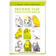 russische bücher: Винс Т. - Самые популярные волнистые попугайчики