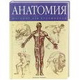 russische bücher: Фримантл Д. - Анатомия. Пособие для художников