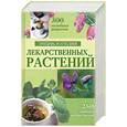 russische bücher: Меньшикова З. - Энциклопедия лекарственных растений