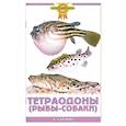 russische bücher: Гуржий А. - Тетраодоны (рыбы-собаки)
