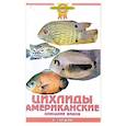 russische bücher: Гуржий А. - Цихлиды американские. Описание видов