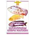 russische bücher: Гурджий А. - Цихлиды озера Малави