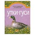 russische bücher: Петровский А.П. - Приусадебное хозяйство. Утки и гуси
