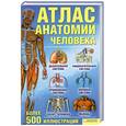russische bücher: Голубкова Г. - Атлас анатомии человека