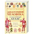russische bücher: Билич Г. - Анатомия человека. Русско-латинский атлас