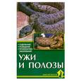 russische bücher: Чегодаев А.Е. - Ужи и полозы