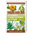 russische bücher:  - Энциклопедия домашних лекарственных растений