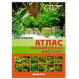 russische bücher: Кассельман К. - Атлас аквариумных растений.  200 видов
