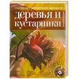 russische bücher:  - Современное декоративное садоводство. Деревья и кустарники. Энциклопедия (+CD)