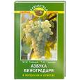 russische bücher: Темная Т. - Азбука виноградаря в вопросах и ответах