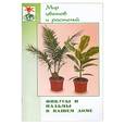 russische bücher: Ломакина Л. - Фикусы и пальмы в вашем доме