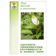 russische bücher: Ломакина Л. - Антуриум, диффенбахия, спатифиллум в вашем доме
