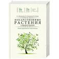 russische bücher: Меньшикова З. - Лекарственные растения в народной медицине