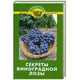 russische bücher: Бурова В.В. - Секреты виноградной лозы