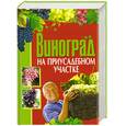 russische bücher: Демин И. - Виноград на приусадебном участке