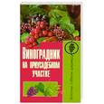 russische bücher: Демин И. - Виноград на приусадебном участке