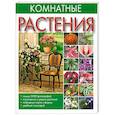 russische bücher: Сладкова О. - Комнатные растения
