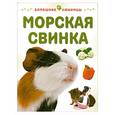 russische bücher: Рейнер М. - Морская свинка