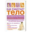 russische bücher: Кале-Жермен. Б - Как работает тело. Позвоночник, суставы и мышцы