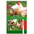russische bücher: Сергиенко Ю - Куры. Разведение и уход