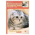 russische bücher: Шевченко  - Шотландская вислоухая кошка : Содержание и уход