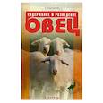 russische bücher: Кашкаров А.П. - Содержание и разведение овец