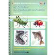 russische bücher: Нищева Н.В. - Аквариумные и пресноводные рыбы. Насекомые и пауки