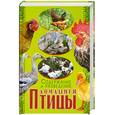 russische bücher: Жмакин М. - Содержание и разведение домашней птицы